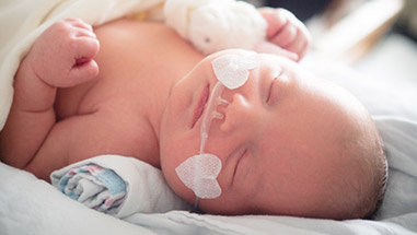 The Lafleur family story